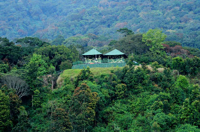 Pambadum Shola National Park