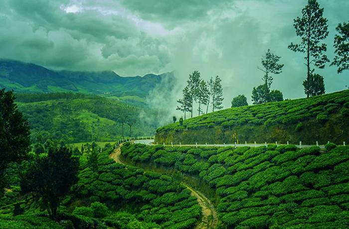 Photo Point Munnar