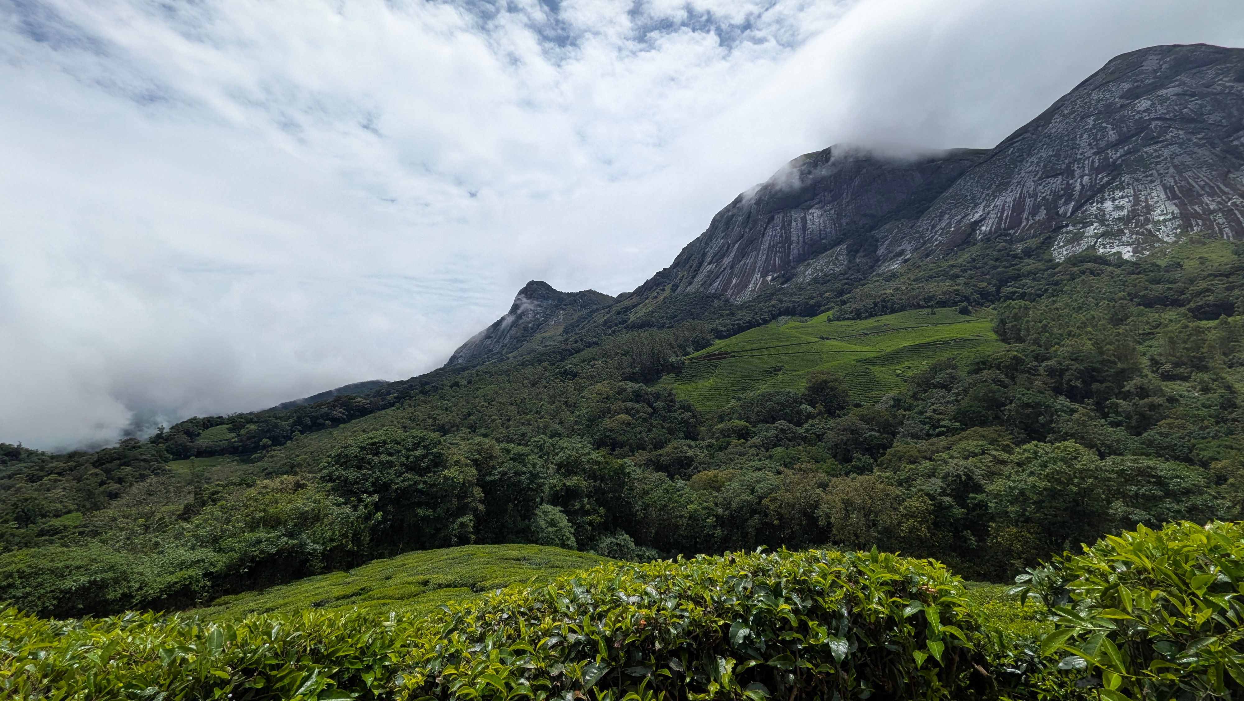 Beautiful tourist attractions and activities in Munnar